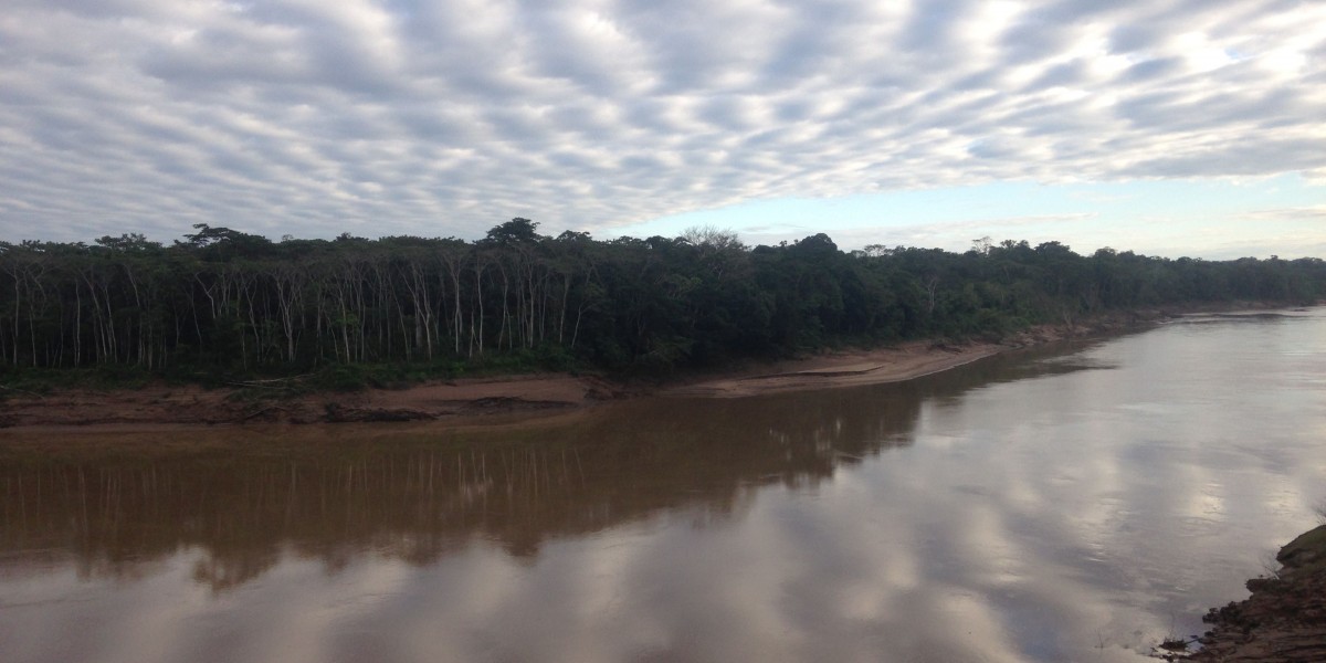river in amazon