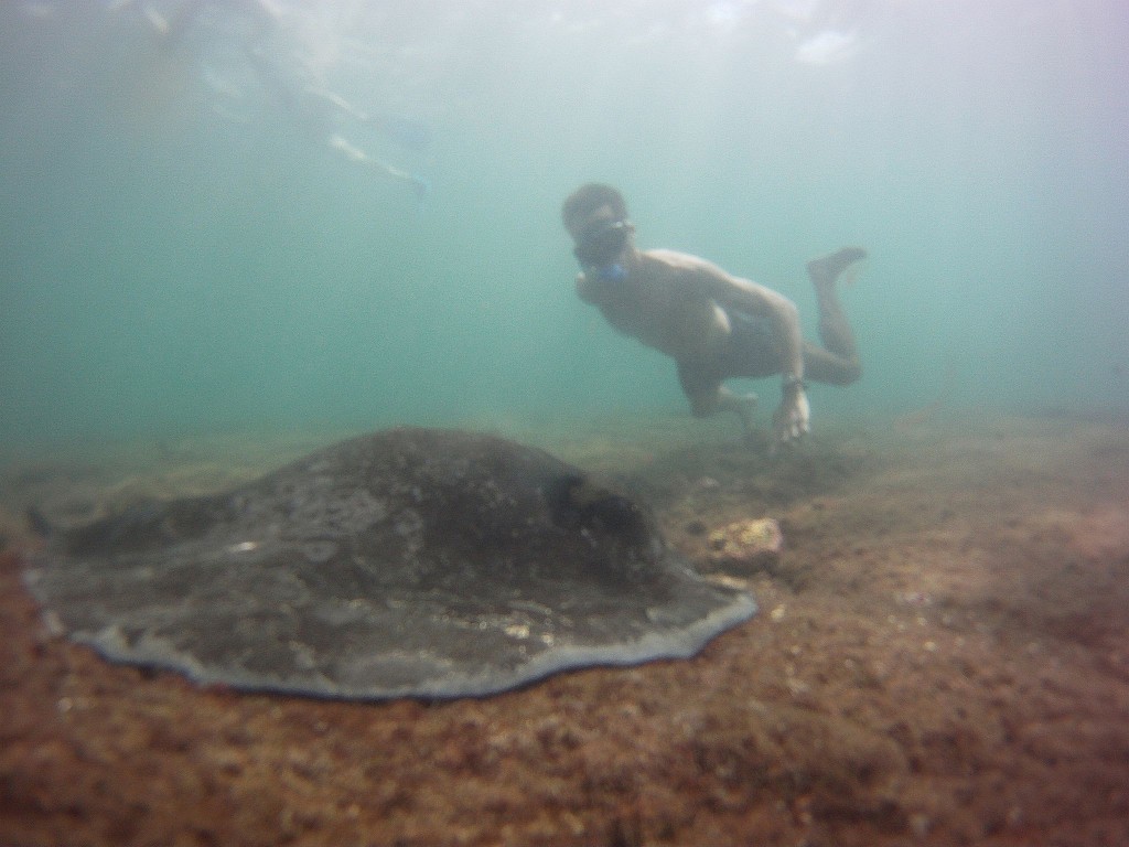 diving in galapagos 1 Eriks Adventures
