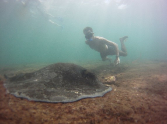 Diving Kicker Rock Galapagos