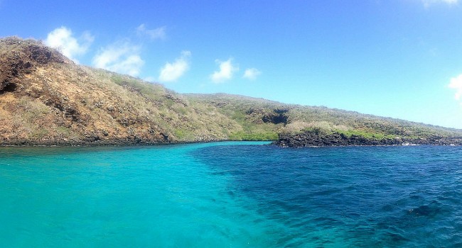 Galapagos Small Group Custom Tour- The Grand Circuit