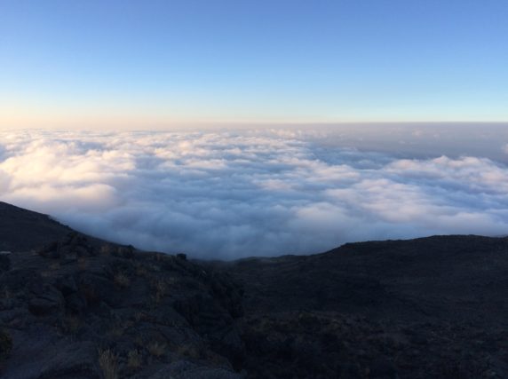 Running near the summit