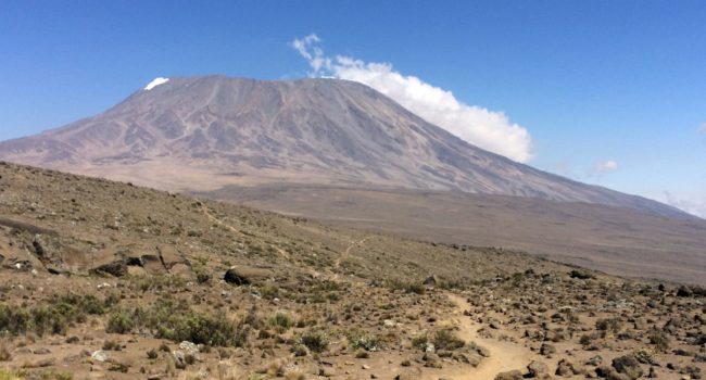 2026 Kilimanjaro Marathon Trail Race- World’s Highest Elevation Marathon